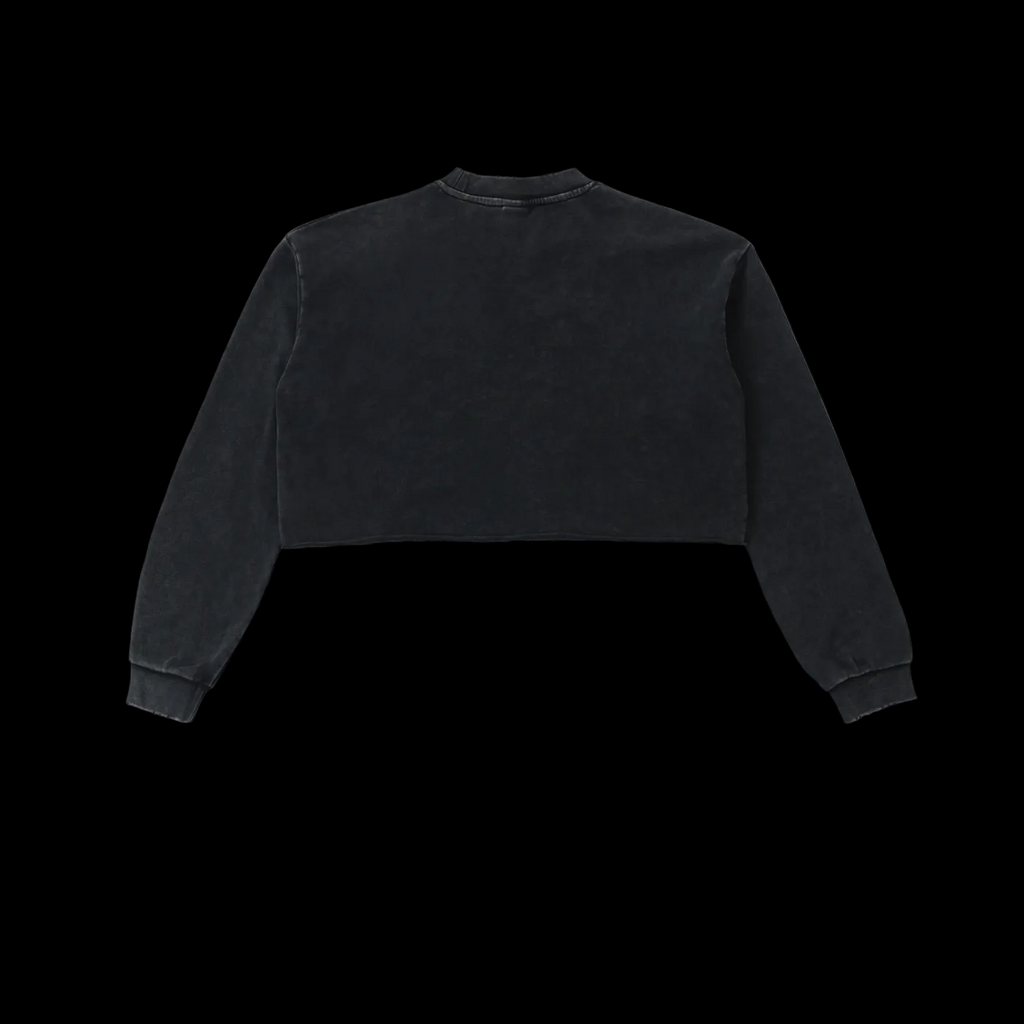 Down stairs Snow Washed Raw Edge Cropped Sweatshirt