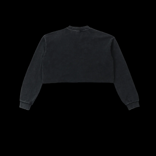 Down stairs Snow Washed Raw Edge Cropped Sweatshirt